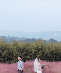 50��ķ۲ݲ�Ҳ���ʺ��Ļ�ɴ��Ŷ~