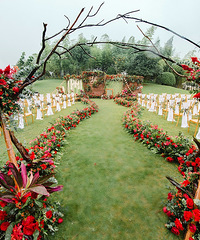 ֳñЧͼҪеĻҲԺƯ