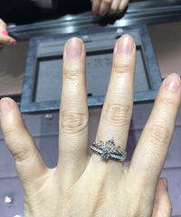 6���������̫���������ϾͲ���ժ����