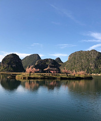美丽的西双版纳留不住我的爸爸