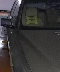 这真的是最有素质的停车???