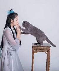 ������Ů�������è��ÿ������è���˶���������