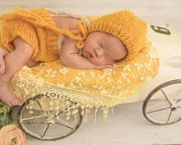 家有小团子初养成