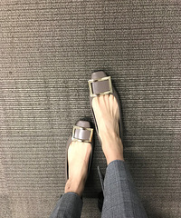 ������������ʲô������3�ڡ�����˫ʮһ����ƪ