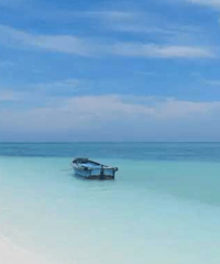 ̩�������Ŵ��������ۣ������ڱ��ȼٵأ�������ȥ���ĺ���