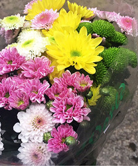 �����ǿ��Դ����Ҹ��еĶ���������20��һ���