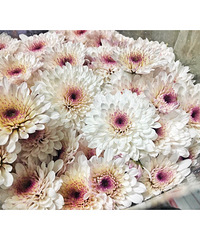 �����ǿ��Դ����Ҹ��еĶ���������20��һ���