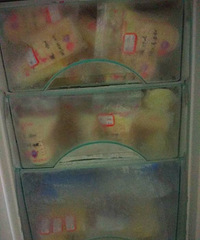 母乳赠送