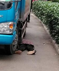 货车开进南岸小区,老人被撞身亡
