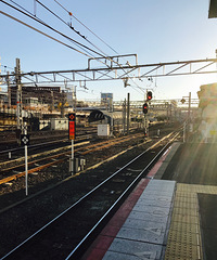 秋の京都 日本体验之旅