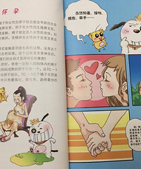 ����һ���Խ����飬��Ĳ���......