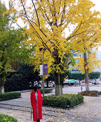 ��������Ĵ��£�ȥ���빫԰��һ��