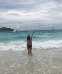 �����������ң������Ա������������������֬��ͨ��