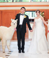 ձʼҶȼʤذһɭϵһǣ˻ֳ