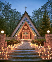 ձʼҶȼʤذһɭϵһǣ˻ֳ