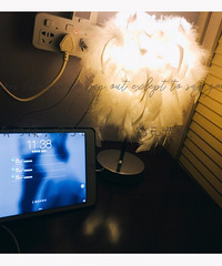 ����Ӫ���С�ң���������Щ��ů��С���ֵ����ʵ��