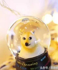 ҬӴӺϿݵɱɳտݵĶˣ㻹