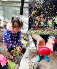 这个幼儿园有点特别