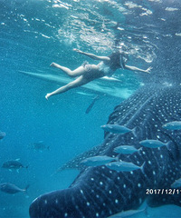 �߸�С��Ů�α��ɣ������ǵأ�����