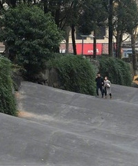 又魔幻了!重庆高校惊现波浪路
