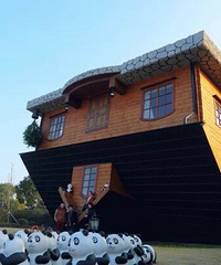 �������� | �����Ǻ쳾����ȥ����������ľ��㷢����Ȧ�ɣ�