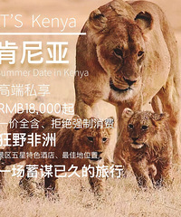 【肯尼亚】13308357008微电同号,报名有惊喜!