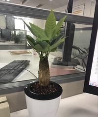 4.8������ķ����� �о��Լ�׬���ˣ�������ôҲҪʮ���