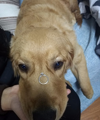 ��ô����䣬�򵥷��㻹����