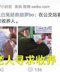 儿子移民国外,8旬老人求收养
