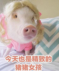 冬至了,推荐几家我吃过觉得不错的饺子店、羊肉店