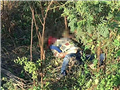 重庆领队被大象踩死