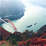 巫山看红叶免门票