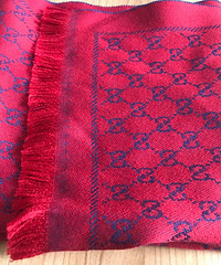 ��Ҳ����һ���ҵ�ʥ��������