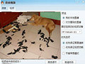 养狗后每天和它视频
