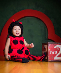 ������Ե��������ľľС���ѿ����ȱ��գ�