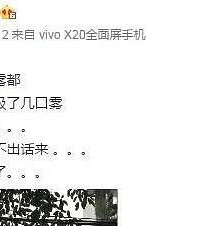 陈赫受不了美丽雾都,溜了溜了