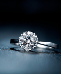 ��ʯ������С��������Ԣ����ʲô������������