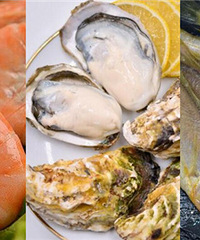 ŹΡڱõġ˳ʡ ۿ۱֮ǰ