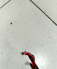 ��ʡǮ��DIY������������Ʒ������ĥë4���ײ�150��