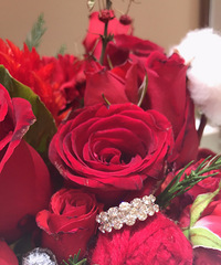 Ů�˾�Ӧ��ӵ���������鱦���Ե�һ�������䣬�������¶���Ǯ��