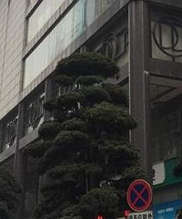 解放碑帝都广场卖了6.66亿