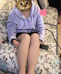 ������̳������Ĺ���������Ч������Ȼ������һ��Ҳû�е���