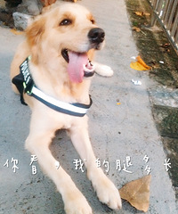 �����п��Դ�����һ���Ļ�ɴ�յģ�