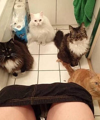 ��ҳ���ϲ��Χ����ϴ������ϲ�����