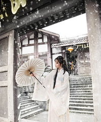 虽没有银杏,但给了我一场大雪纷飞,天心寺拍艺术照归来