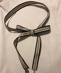 һ���׳��£����Σ�ÿ�첻����