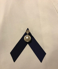 һ���׳��£����Σ�ÿ�첻����