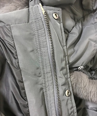 Ĵë޷벻⣬ȻСӶܴ