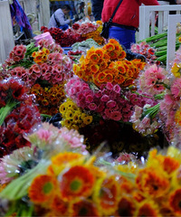 �ʻ��۽�ƵĶ��ϻ��У��Ұ����Ǵ�̽�ˣ�