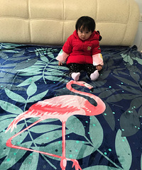 ɺļֵʸкãϴɫޣֵûع